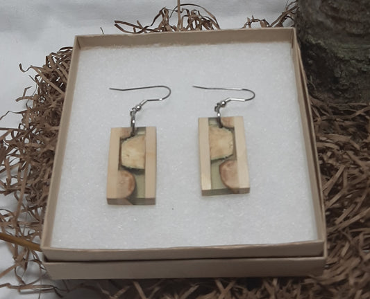 Twig and epoxy earrings