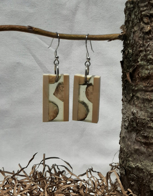 Twig and epoxy earrings