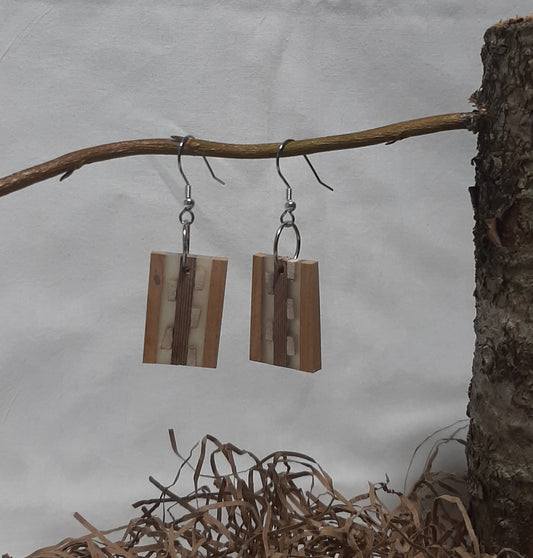 Wood and epoxy earrings