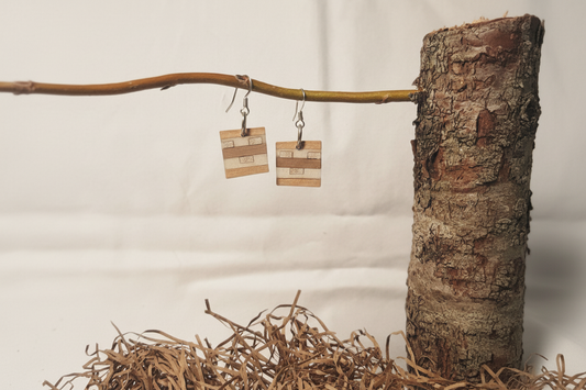 Enhanced earring photo 1