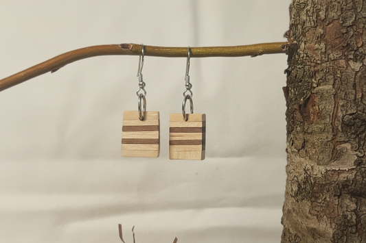 Enhanced earring photo