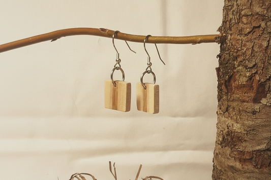 Enhanced earring photo